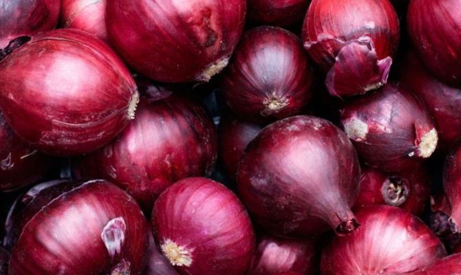 Cipolla rossa di Tropea IGP - Red Onions from Tropea  500gr.