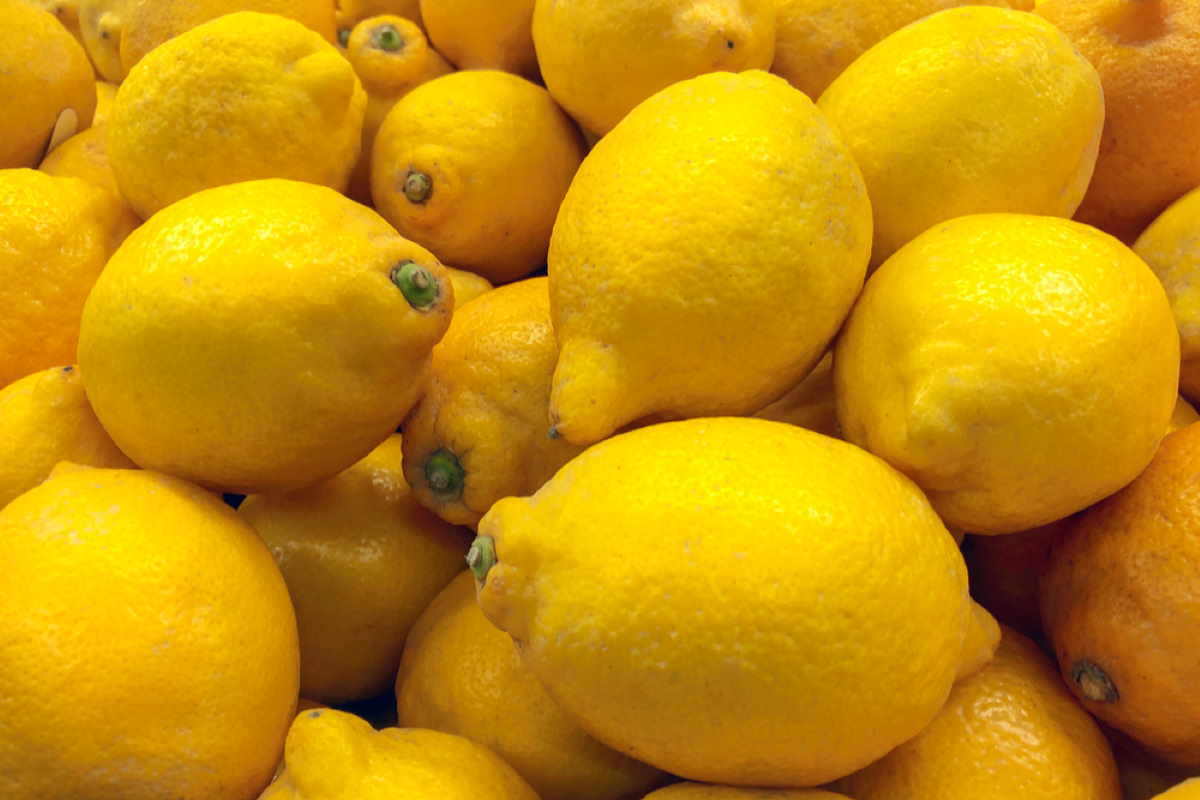 Limoni Costiera 500gr.- Lemons